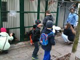 IMG_2451.JPG