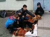 IMG_2461.JPG